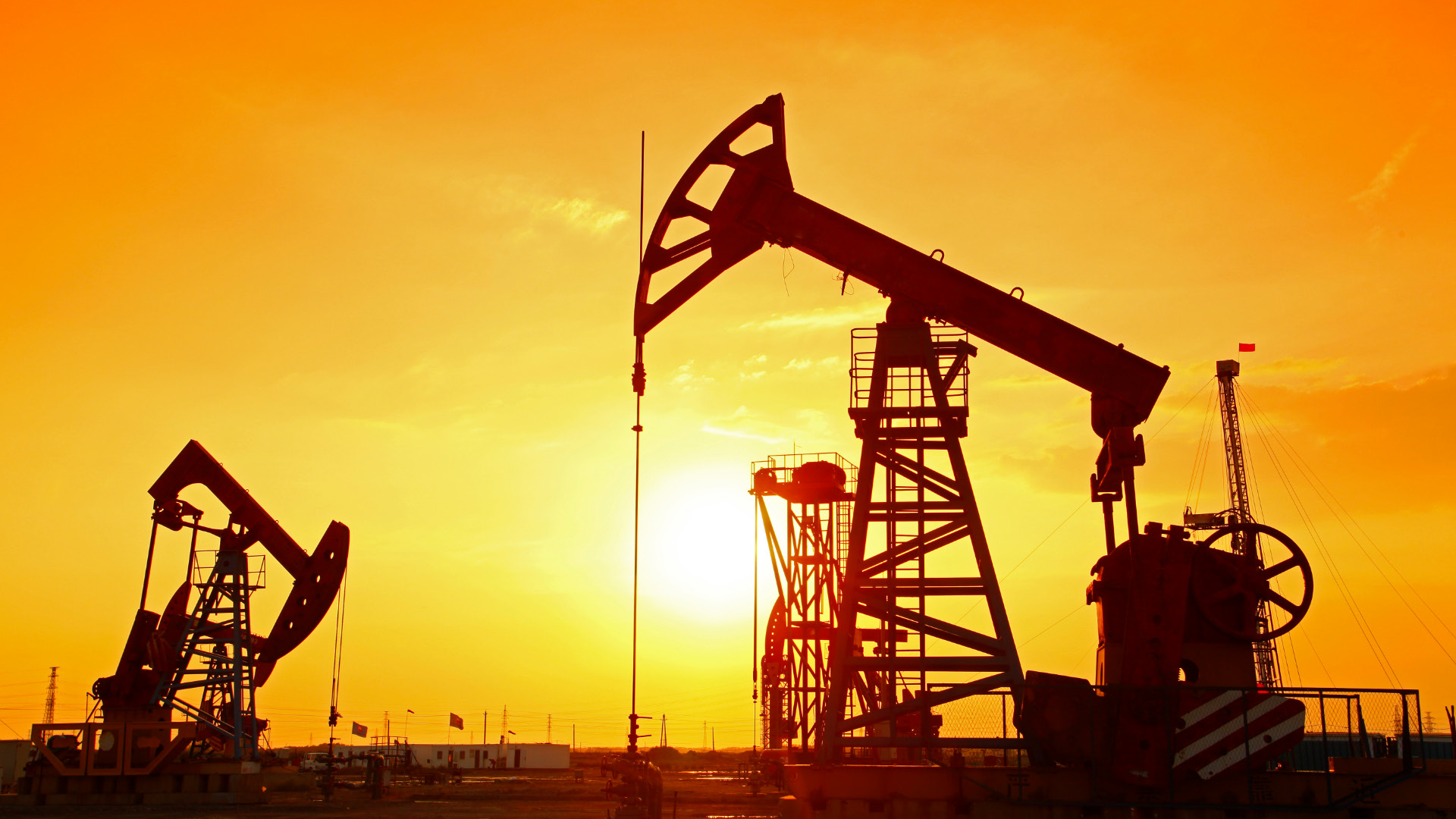 Oil & Petroleum Hoses